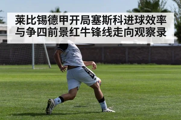 莱比锡德甲开局塞斯科进球效率与争四前景红牛锋线走向观察录